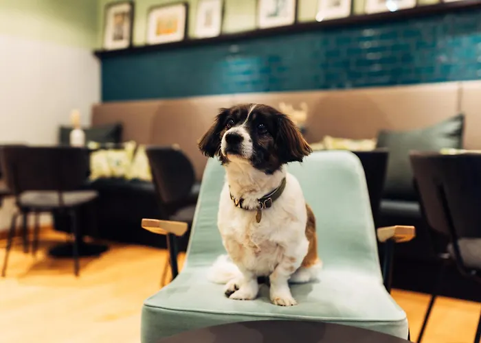 Harry's Graz-smart & Graz